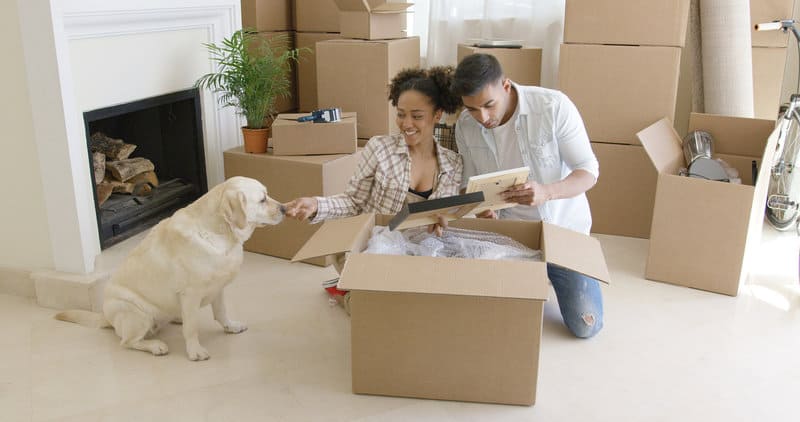 helping your pets feel comfortable in their new home