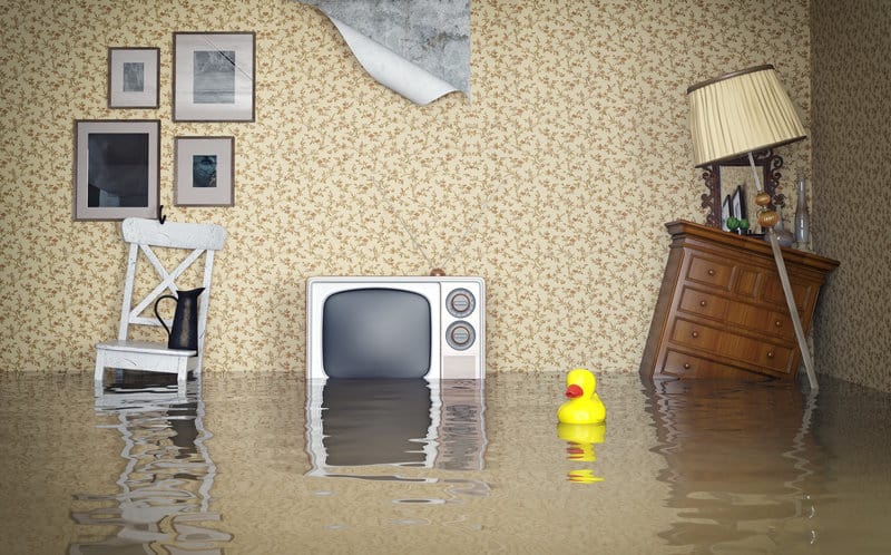should i purchase flood insurance when moving into a new home